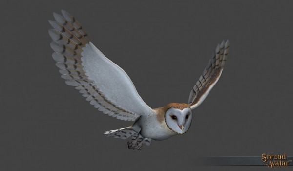 TT Shroud of the Avatar Barn Owl Decoration Pet