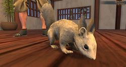 TT Shroud of The Avatar White Squirrel Decoration Pet