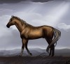 Crowfall Quaterhorse