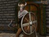 TT Shroud of the Avatar Viking Guor Shield