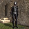 TT Shroud of the Avatar Elven Elder Fighter Set