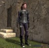 TT Shroud of the Avatar - Elder Elven Archer Armor