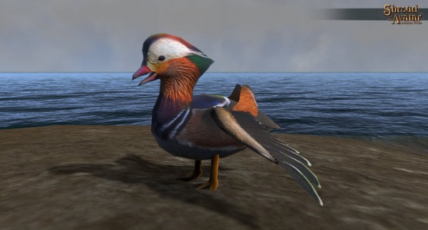TT Shroud of the Avatar Mandarin Duck