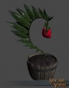 TT Shroud of the Avatar Immortality Fruit Seed
