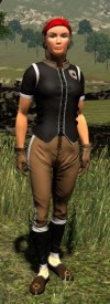 TT Shroud of the Avatar Royal Founders Cloth Armor Set
