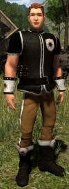 TT Shroud of the Avatar Royal Founders Leather Armor Set