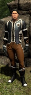 TT Shroud of the Avatar Royal Founders Mail Armor Set