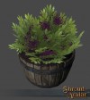 TT Shroud of the Avatar Royal Elderberry Seed