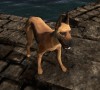TT Shroud of the Avatar Great Dane