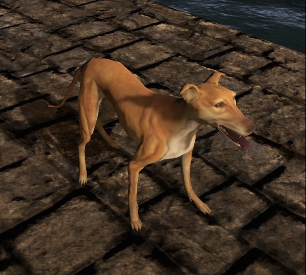 TT Shroud of the Avatar Greyhound