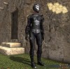 TT Shroud of the Avatar Elven Elder Fighter Armor Eternal Pattern Set