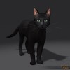 Shroud of the Avatar Black Cat (digital)