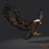 Shroud of the Avatar Golden Eagle (digital)