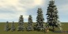 Shroud of the Avatar Blue Spruce Tree 6-Pack (digital)