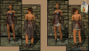 Shroud of the Avatar Satin Bodice Bundle (digital)