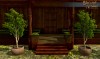 Shroud of the Avatar Potted White Oak Tree 3-Pack (digital)