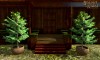 Shroud of the Avatar Potted Yellow Cedar Tree 3-Pack (digital)
