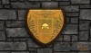 Shroud of the Avatar Light Armor Sign 9-Pack (digital)