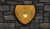 Shroud of the Avatar Smelting Sign 9-Pack (digital)