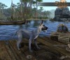 Shroud of the Avatar Grey Great Dane (digital)