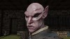 Shroud of the Avatar Male Elf Mask (digital)