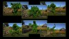 Shroud of the Avatar Topiary Statue Pack (digital)