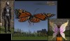 Shroud of the Avatar Elven Butterfly Bundle (digital)