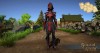 Shroud of the Avatar Elven Elite Mage Armor Pattern Pack (digital)