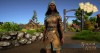 Shroud of the Avatar Arabella Leather Armor Pattern Pack (digital)