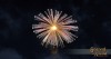 Shroud of the Avatar Replenishing Aerial Gold Ring Fish Combo Fireworks Box