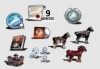 TT Crowfall 2015 Gold Bundle