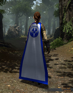 TT Shroud of The Avatar Duke's Cloak