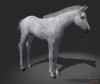 TT Shroud of the Avatar White Foal Pet