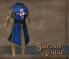 TT Shroud of the Avatar Founder Heraldry Tabard Cloth Armor Set