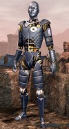 Lord Marshal Automaton Servant