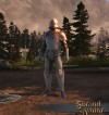 Shroud of the Avatar Heavy Plate Armor Set