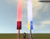 TT Shroud of the Avatar Battle Banner