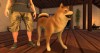 Shroud of the Avatar Shiba Inu Dog