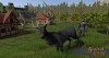Shroud of the Avatar Black Stag