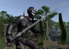 Shroud of the Avatar Ornate Elven Longsword