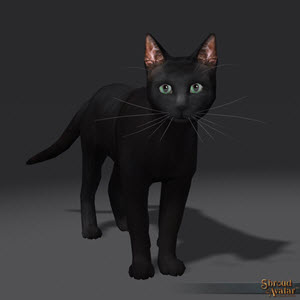 wowhead black tabby cat