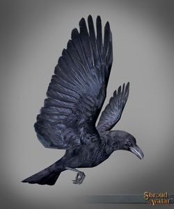 TT Shroud of the Avatar Black Raven