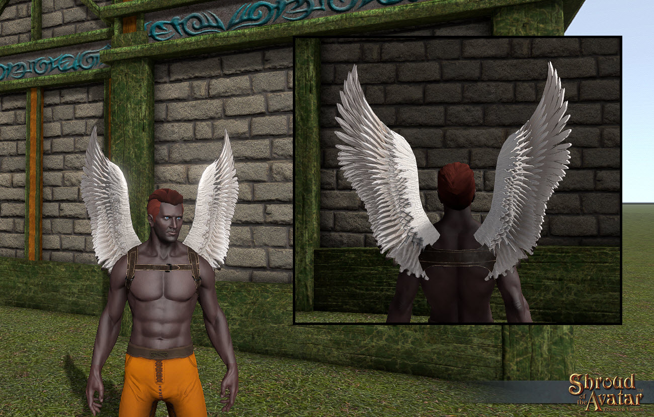 TT Shroud of the Avatar White Feather Wings
